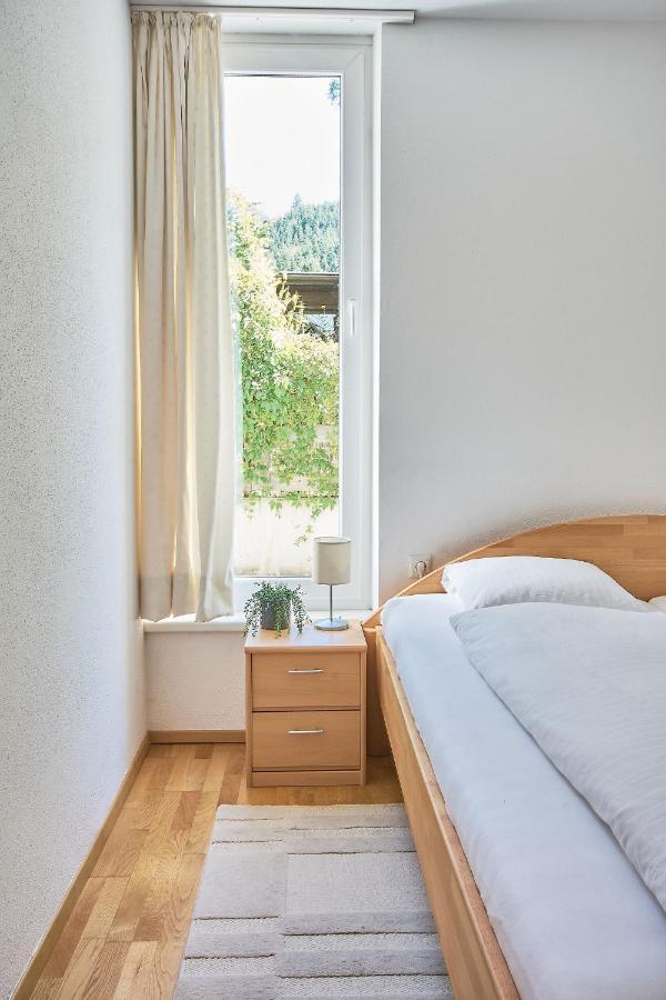 Mountain View Ski Apartment 劳里斯 外观 照片